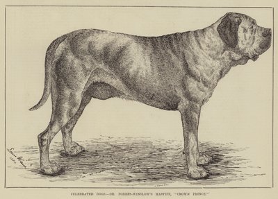 Beroemde honden, Dr. Forbes-Winslow